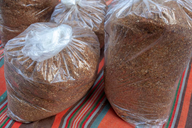 Près de 250 points de vente de sachets de nicotine illégaux découverts l'an passé