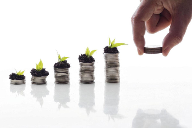 Dois-je mettre des PME dans mon portefeuille? 