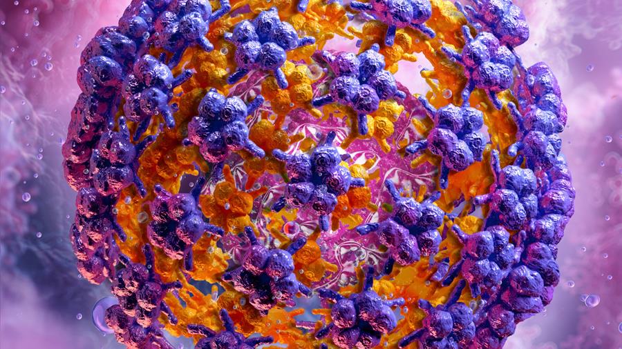 Cover JM Spécialiste Update Infectiologie